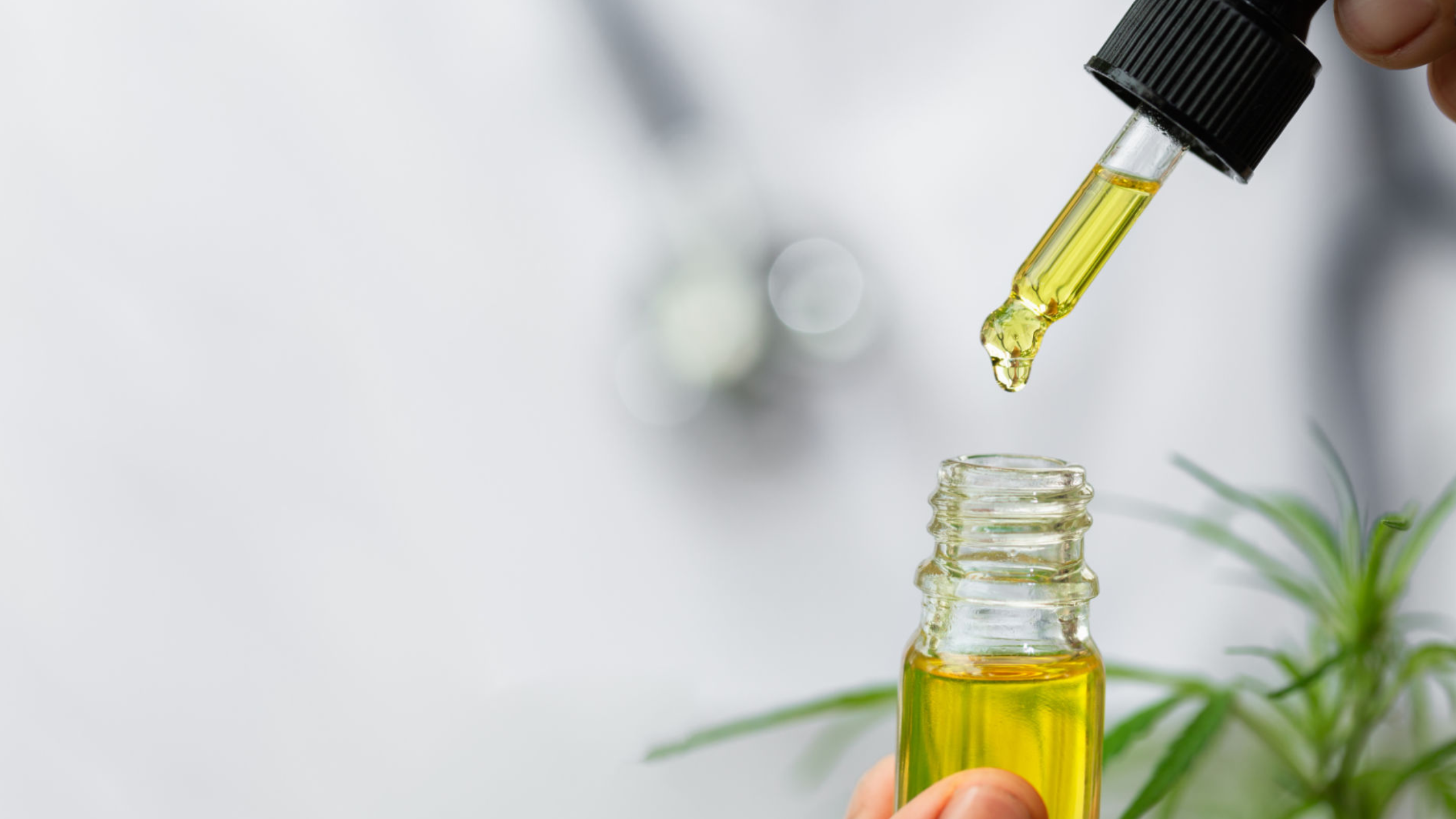 9 Amazing Benefits of Hemp Oil for Your Skin