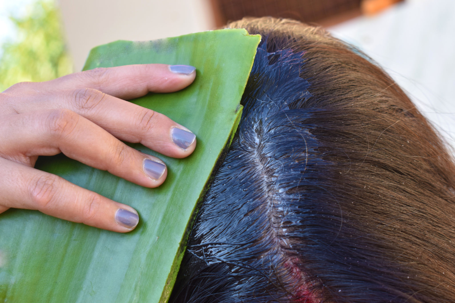 How Aloe Vera Might Be The Solution to Your Hair Woes